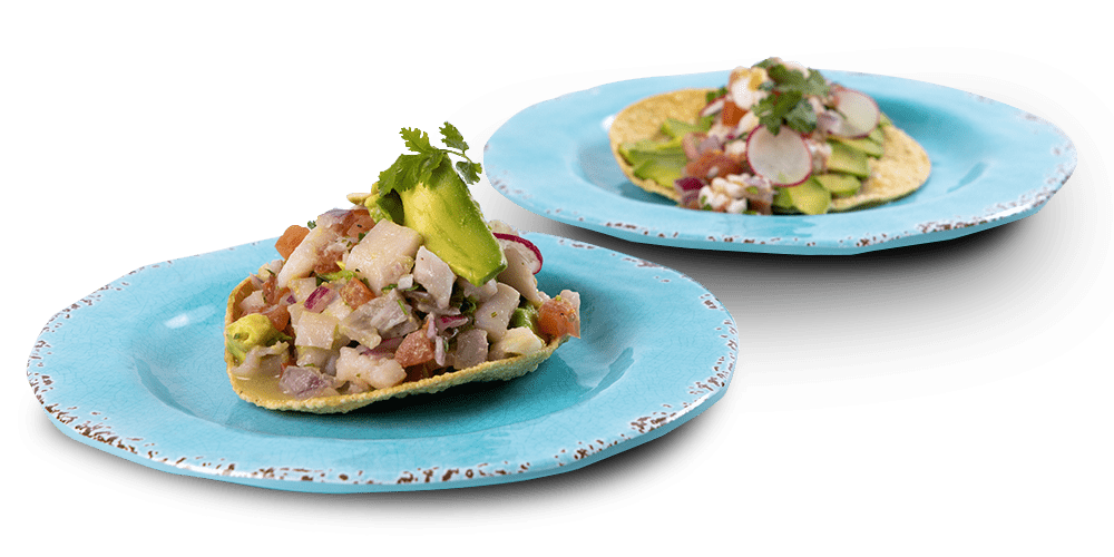 Content Block 1 Ceviche